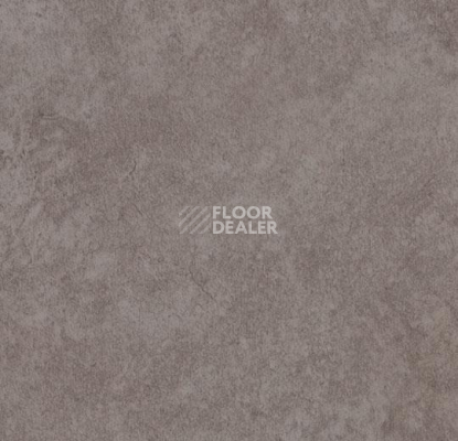 Линолеум Forbo Eternal Material 10042 graphite stucco фото 1 | FLOORDEALER